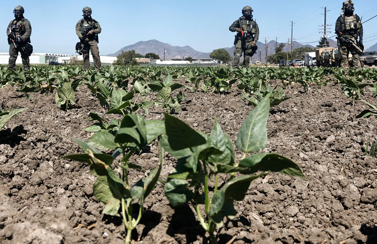 American Farmers: A cautionary tale